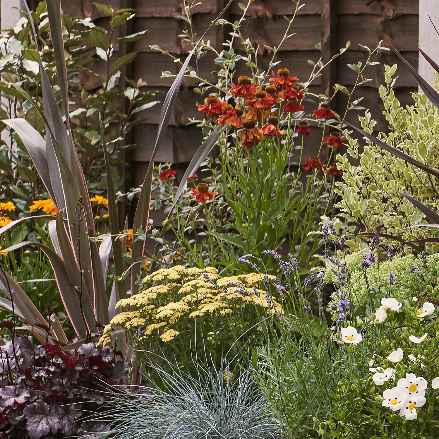 Mediterranean Border 5m X 40cm 6 Mediterranean Border 5m X 40cm - Image 4