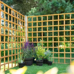 Heavy Duty Trellis - 183cm - Pack Of 4 9 Heavy Duty Trellis - 183cm - Pack Of 4 -GreenScape Sales Store 12823568 5314833217551918