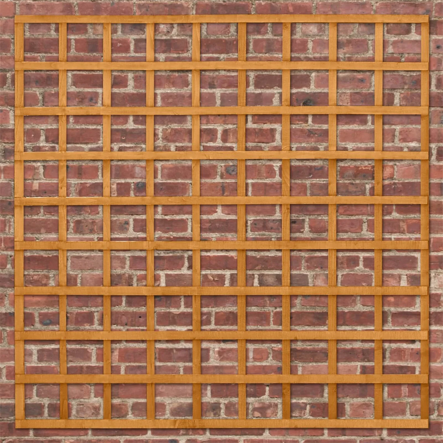 Heavy Duty Trellis - 183cm - Pack Of 5 6 Heavy Duty Trellis - 183cm - Pack Of 5 - Image 4