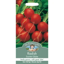 Mr. Fothergill's Radish Scarlet Globe (Raphanus Sativus) Seeds