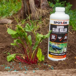 Spot On Slug & Snail Killer - 600g 7 Spot On Slug & Snail Killer - 600g -GreenScape Sales Store 12824800 1044975168608672
