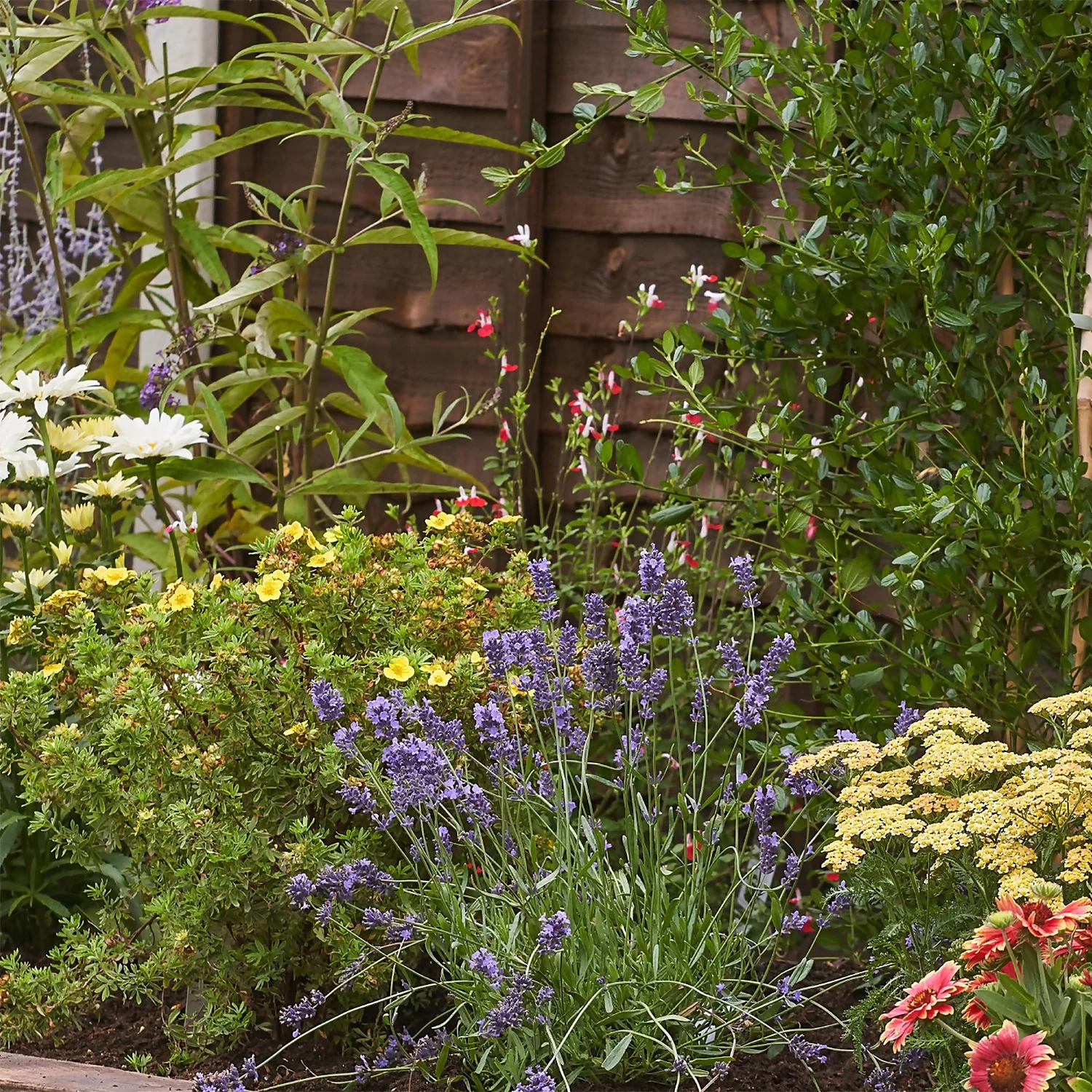 Bee And Butterfly Border 9m X 40cm 7 Bee And Butterfly Border 9m X 40cm - Image 5