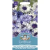 Mr. Fothergill's Cornflower Classic Fantastic -GreenScape Sales Store 12827461 1374831918154907