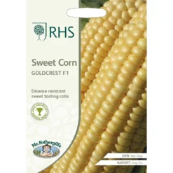 RHS Sweet Corn Goldcrest F1 -GreenScape Sales Store 12827468 1404832982682851