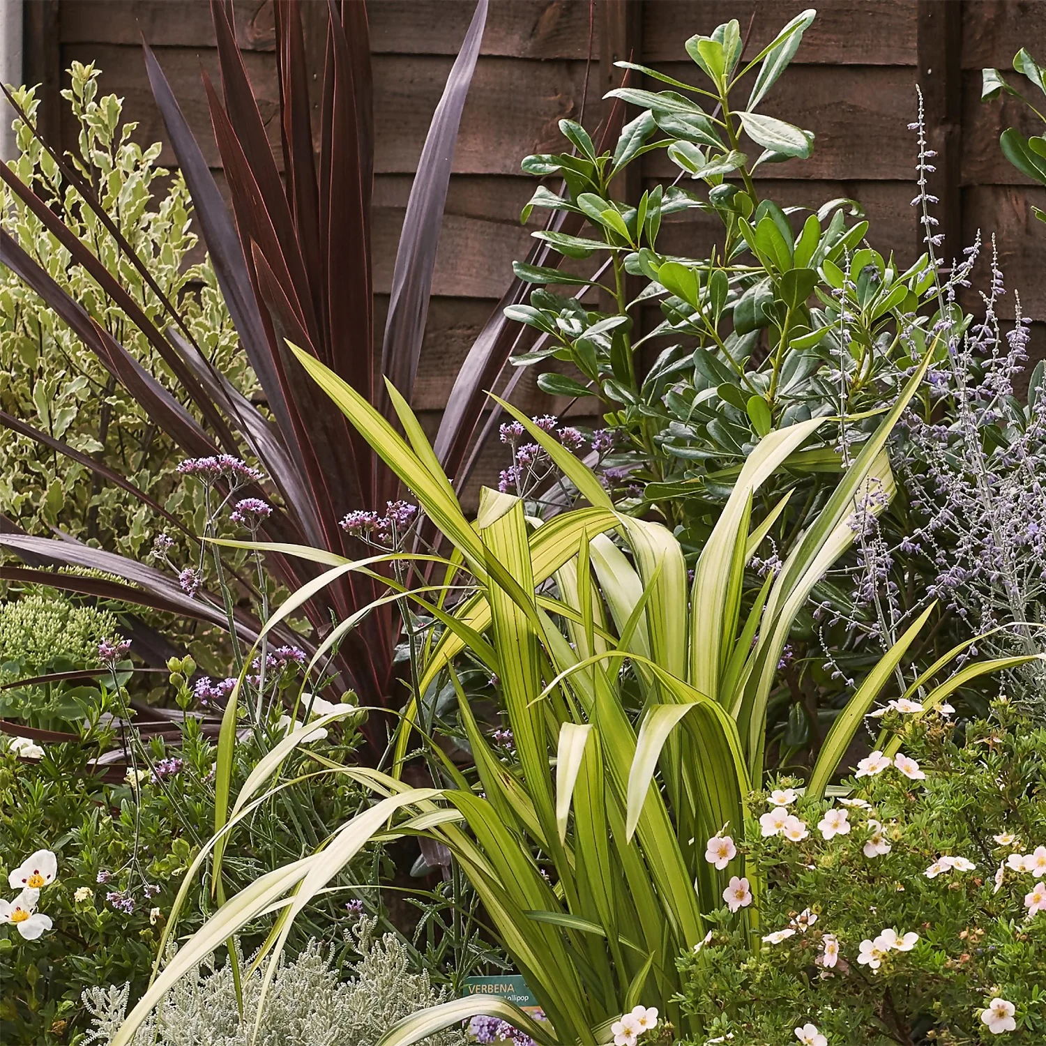 Mediterranean Border 3m X 120cm 7 Mediterranean Border 3m X 120cm - Image 5