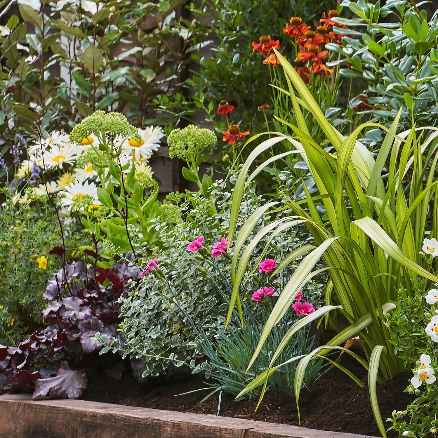 Sunny Border 4m X 120cm 6 Sunny Border 4m X 120cm - Image 4