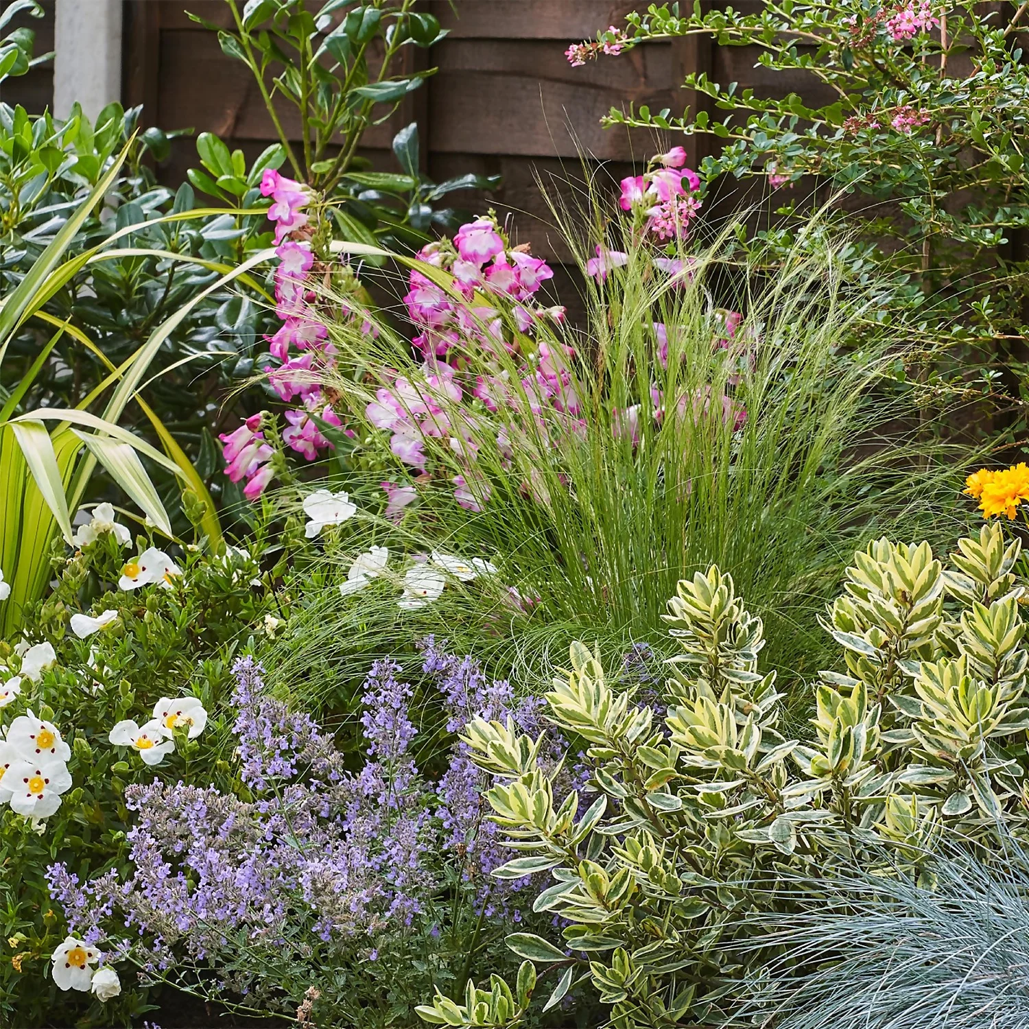 Sunny Border 7m X 120cm 7 Sunny Border 7m X 120cm - Image 5