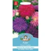 Mr. Fothergill's Aster Ostrich Feather Seeds -GreenScape Sales Store 12829000 1024831589670123