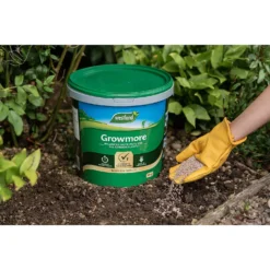 Westland Growmore Plant Food - 10kg -GreenScape Sales Store 12829902 7774971590491911