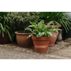 Growing Success Slug Barrier Copper Tape -GreenScape Sales Store 12833181 1495019845669673