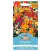 Mr. Fothergill's Nemesia Carnival Mixed Seeds 1 Mr. Fothergill's Nemesia Carnival Mixed Seeds -GreenScape Sales Store 12834428 4934831960949961