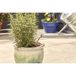 Miracle-Gro Pump & Feed All Purpose Plant Food - 200ml -GreenScape Sales Store 12834802 8834833167206419