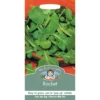 Mr. Fothergill's Rocket Seeds -GreenScape Sales Store 12834845 2424831917328533