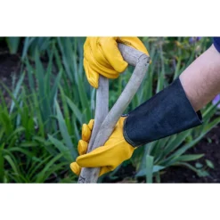 Westland Luxury Leather Gauntlet Gloves 7 Westland Luxury Leather Gauntlet Gloves -GreenScape Sales Store 12835847 2395012509238073