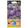 Mr. Fothergill's Scabious Blue Cushion Seeds -GreenScape Sales Store 12837720 4294831885378671