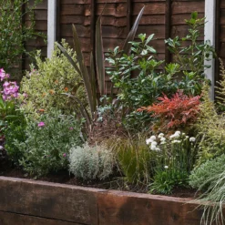 Garden On A Roll Eco Border - 8m X 60cm