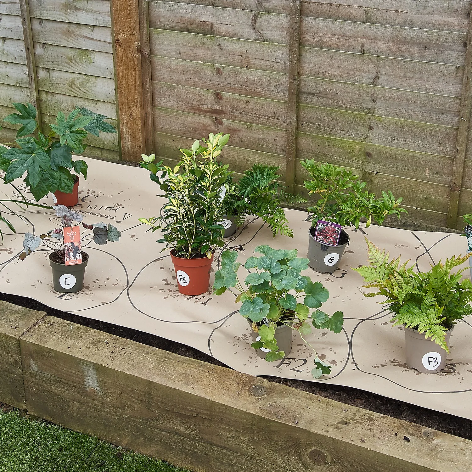 Garden On A Roll Eco Border - 6m X 60cm 4 Garden On A Roll Eco Border - 6m X 60cm - Image 2