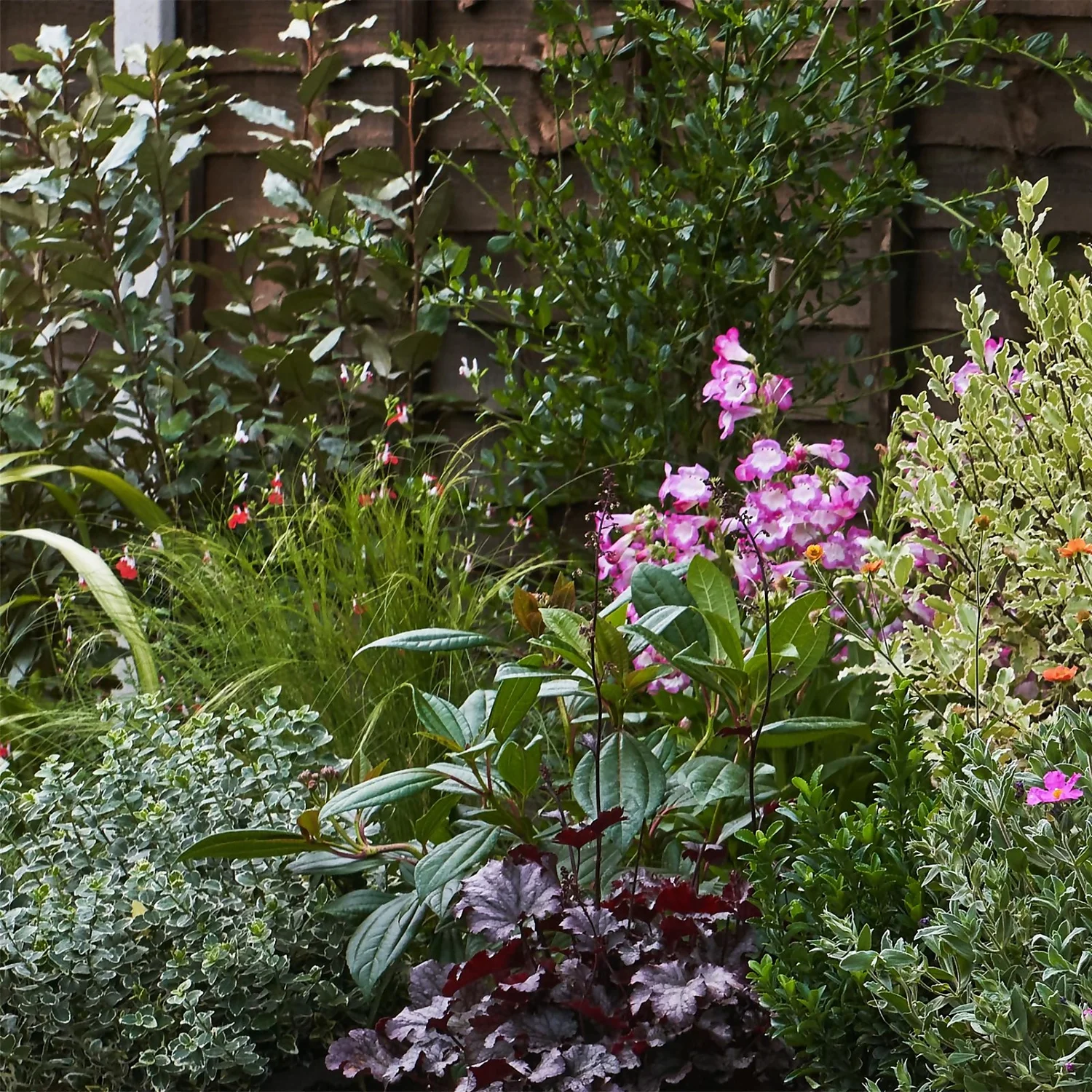 Garden On A Roll Eco Border - 9m X 60cm 6 Garden On A Roll Eco Border - 9m X 60cm - Image 4