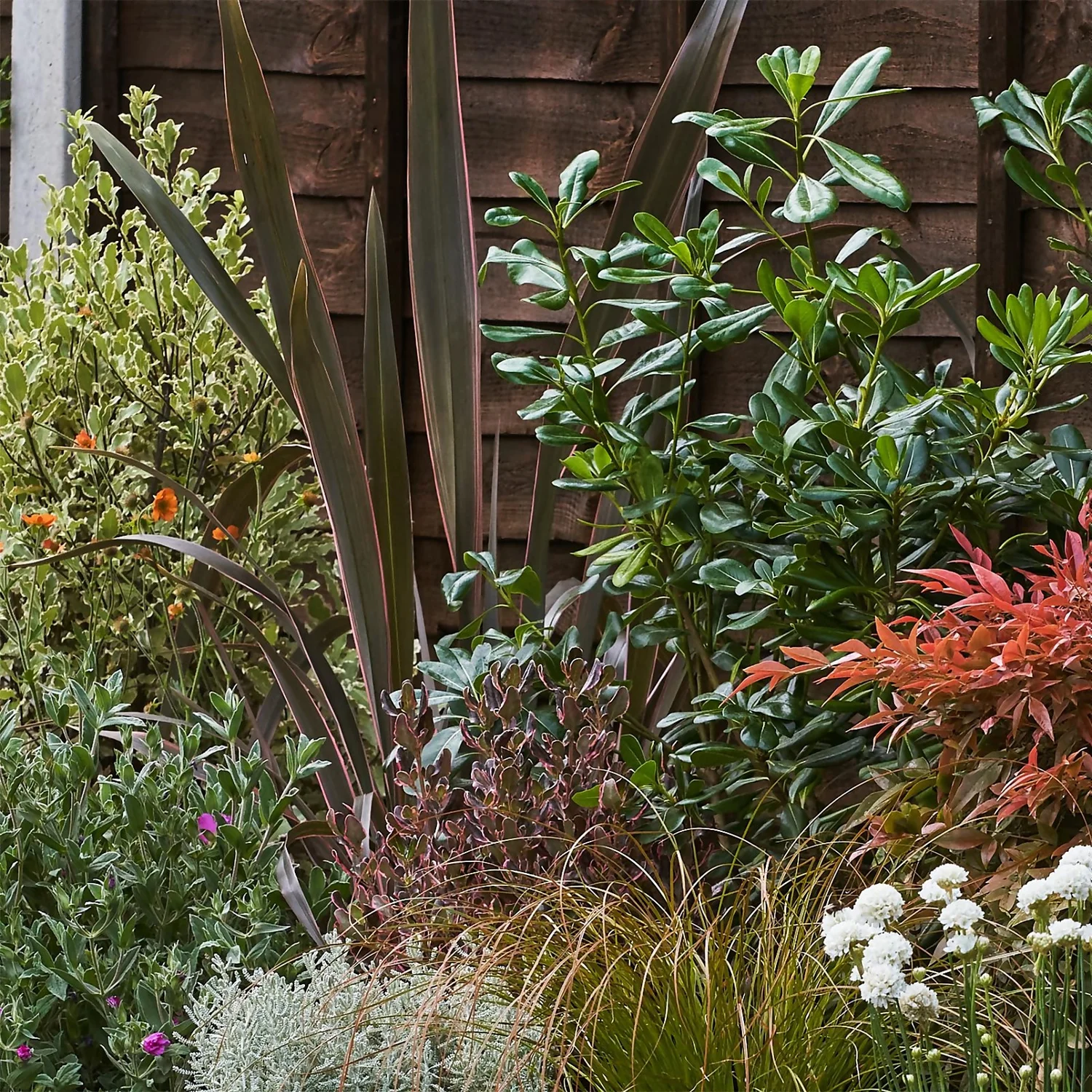 Garden On A Roll Eco Border - 6m X 90cm 7 Garden On A Roll Eco Border - 6m X 90cm - Image 5