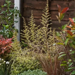 Garden On A Roll Eco Border - 5m X 90cm -GreenScape Sales Store 12837989 8195027901005400