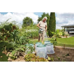 Garantia Sunny Forcing Cloche 7 Garantia Sunny Forcing Cloche -GreenScape Sales Store 12840402 8344845847866681