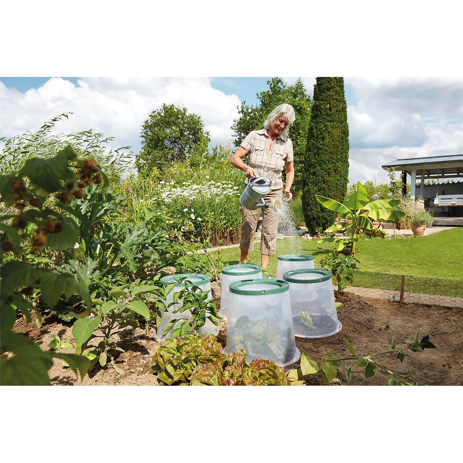 Garantia Sunny Forcing Cloche 5 Garantia Sunny Forcing Cloche - Image 3