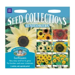 Mr. Fothergill's Sunflowers Collection Seeds