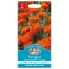Mr. Fothergill's African Marigold Kees Orange Seeds -GreenScape Sales Store 12842085 6954831947774069