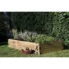 Forest Caledonian Wooden Raised Bed 180 X 90cm -GreenScape Sales Store 12843561 2004831943314422