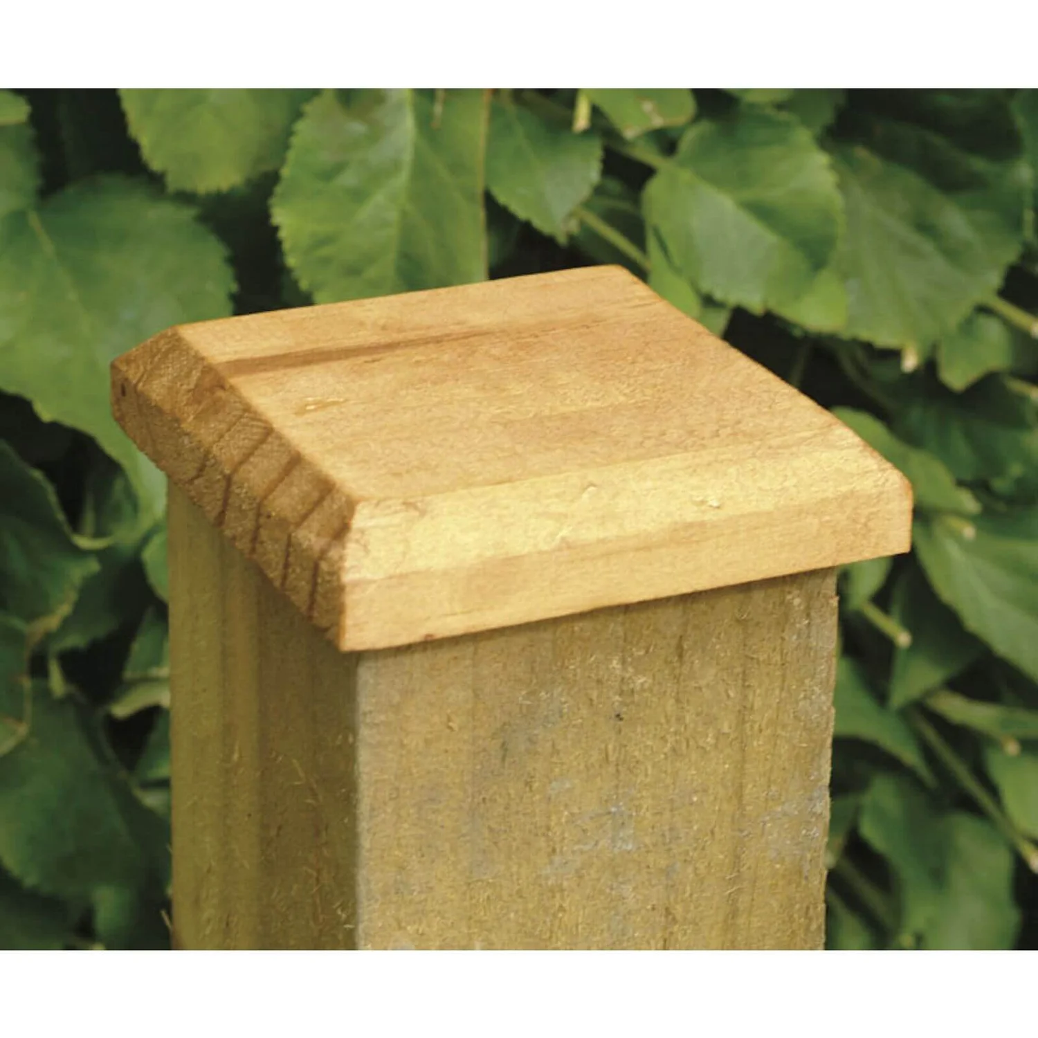 Forest Timber Fence Post Cap 4 Forest Timber Fence Post Cap - Image 2