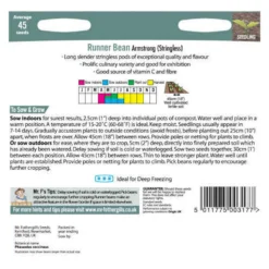 Mr. Fothergill's Runner Bean Stringless Armstrong (Phaseolus Coccineus) Seeds 5 Mr. Fothergill's Runner Bean Stringless Armstrong (Phaseolus Coccineus) Seeds -GreenScape Sales Store 12844706 1764833170530656