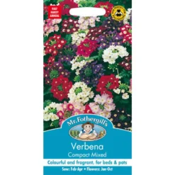 Mr. Fothergill's Verbena Compact Mixed (Verbena X Hybrida) Seeds
