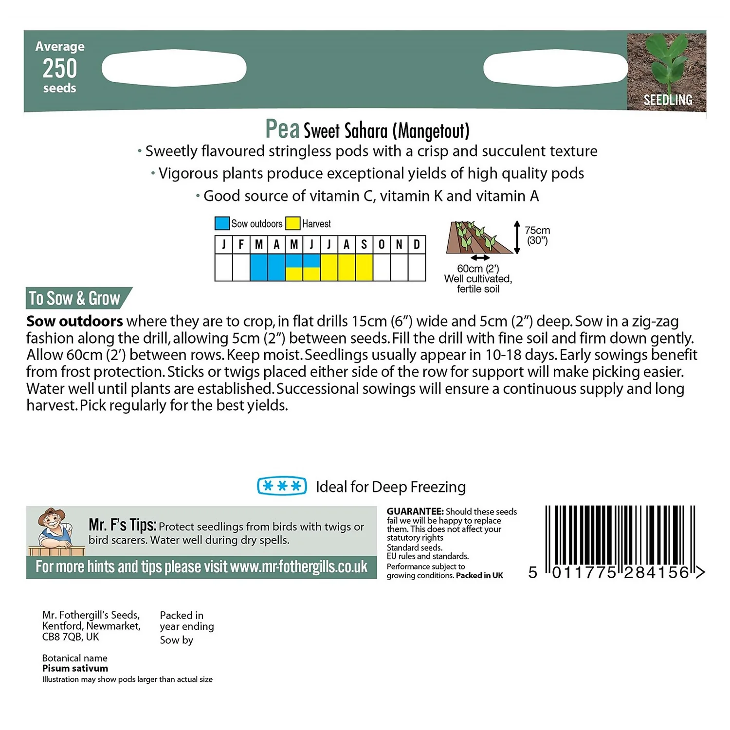 Mr. Fothergill's Pea Mangetout Sweet Sahara Seeds 4 Mr. Fothergill's Pea Mangetout Sweet Sahara Seeds - Image 2
