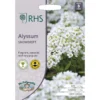 RHS Alyssum Snowdrift Seeds -GreenScape Sales Store 12882725 1464843574971848