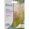 RHS Stipa Tenuimmia Pony Tails Seeds -GreenScape Sales Store 12882727 1264843575039594