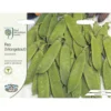 RHS Pea Mangetout Delikata Seeds -GreenScape Sales Store 12882737 2854843575375843
