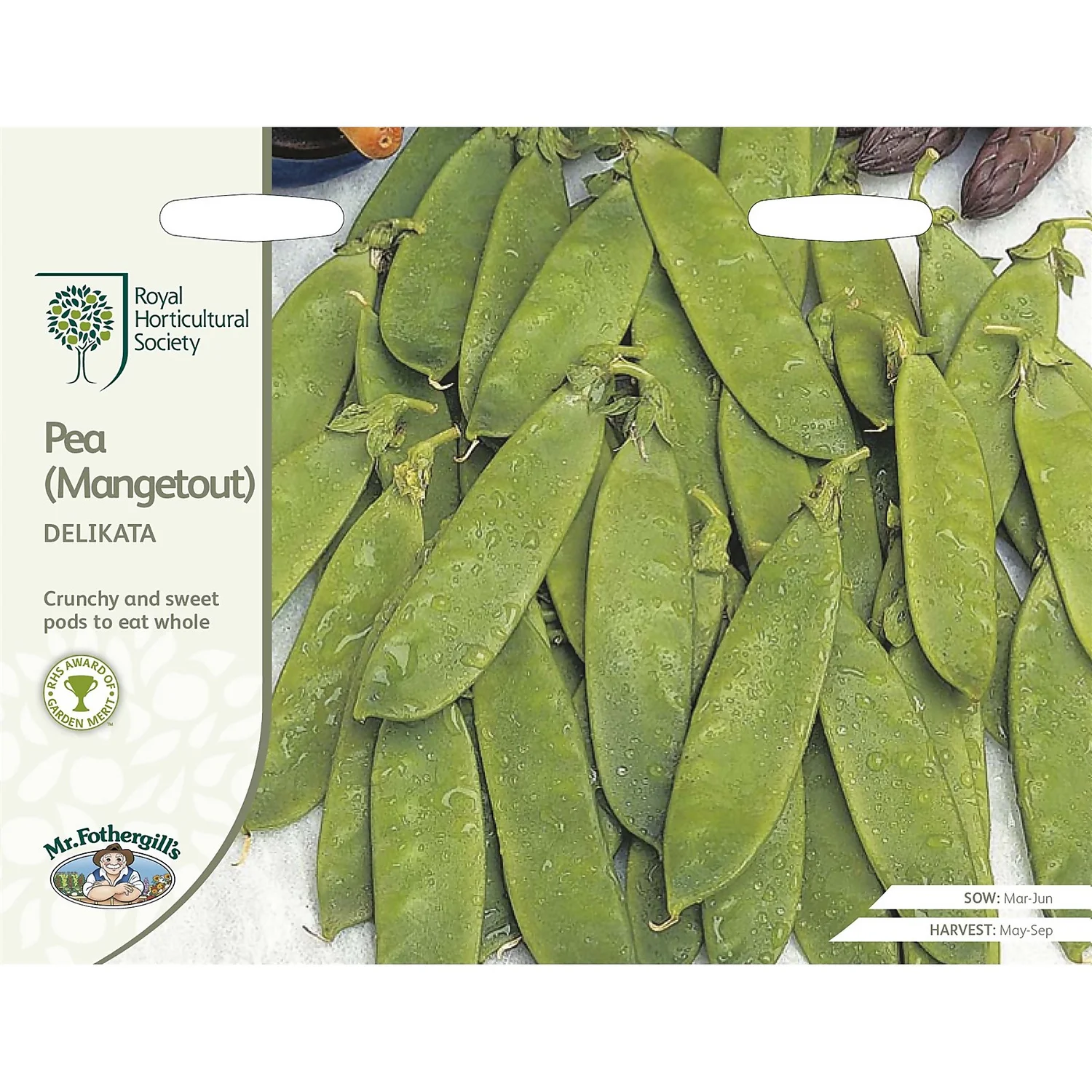 RHS Pea Mangetout Delikata Seeds 3 RHS Pea Mangetout Delikata Seeds
