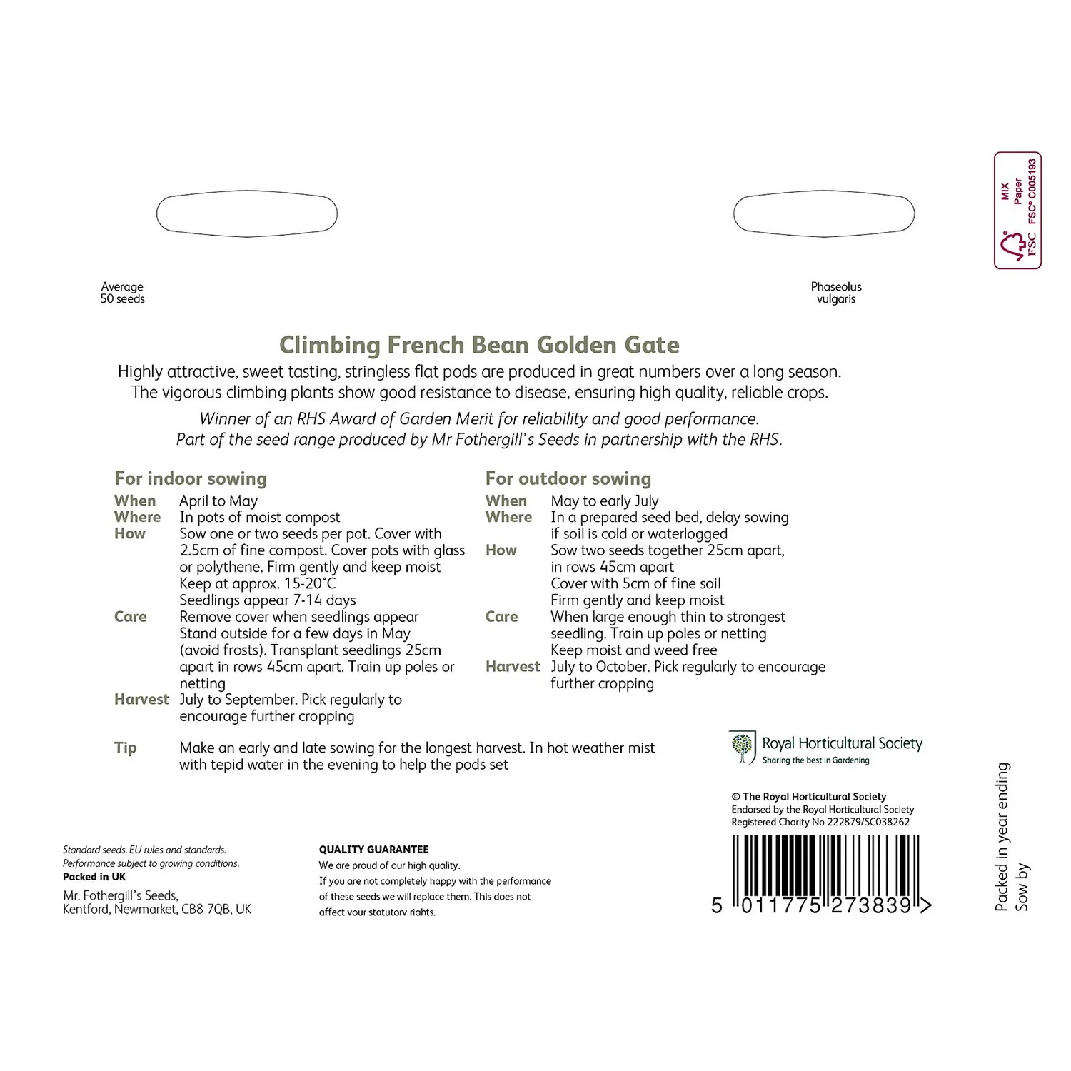 RHS Climbing French Bean Golden Gate Seeds 4 RHS Climbing French Bean Golden Gate Seeds - Image 2