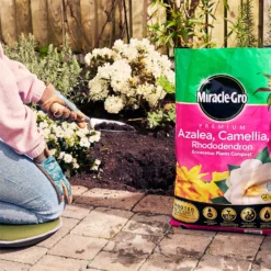 Miracle Gro Premium Azalea, Camellia & Rhododendron Ericaceous Compost - 40L -GreenScape Sales Store 12882812 1004843671886080