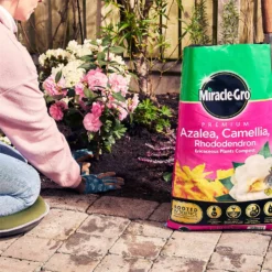 Miracle Gro Premium Azalea, Camellia & Rhododendron Ericaceous Compost - 40L -GreenScape Sales Store 12882812 1404843671956442