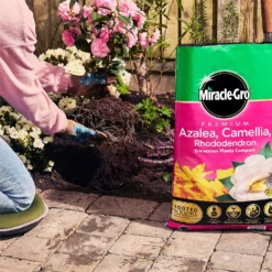 Miracle Gro Premium Azalea, Camellia & Rhododendron Ericaceous Compost - 40L -GreenScape Sales Store 12882812 1924843671918789