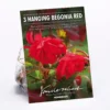 None Hanging Begonia Red -GreenScape Sales Store 12882824 1105020399972737