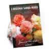 None Begonia Samba Mixed -GreenScape Sales Store 12882826 1615020400084022
