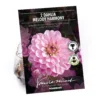 None Dark Foliage Dahlia Melody Harmony Flower Bulbs