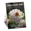 None Dinnerplate Dahlia Kiev Flower Bulbs -GreenScape Sales Store 12882836 3915020400389539