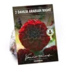 None Decorative Dahlia Arabian Night 1 None Decorative Dahlia Arabian Night -GreenScape Sales Store 12882838 1855020400389194