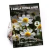 None Dahlia Single Topmix White Flower Bulbs -GreenScape Sales Store 12882839 1835020400553357