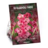 None Large Flowering Gladioli Fado Flower Bulbs -GreenScape Sales Store 12882845 1995020402596447