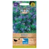 Mr. Fothergill's Echium Blue Bedder Seeds -GreenScape Sales Store 12884086 1644843351189779
