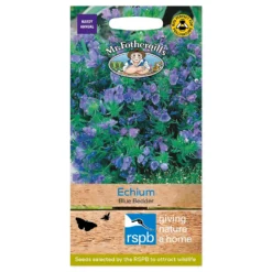 Mr. Fothergill's Echium Blue Bedder Seeds